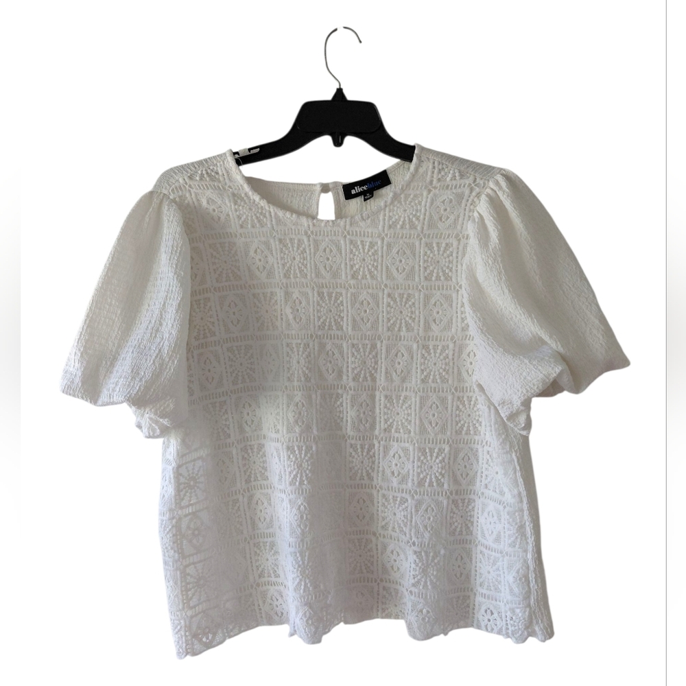 Alice Blue White Textured Lace Puff Sleeve Top XL